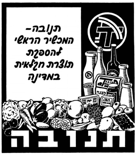 תנובה