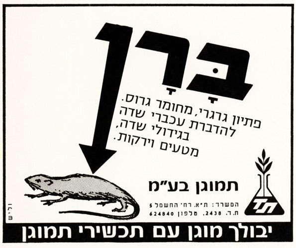 מודעת ברן