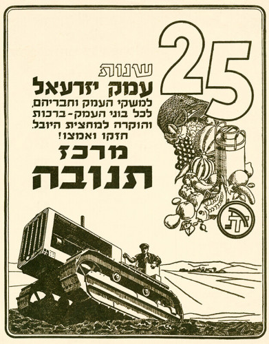 תנובה