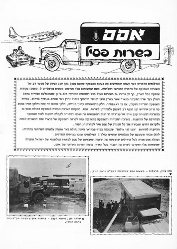 עלון, אסמינו