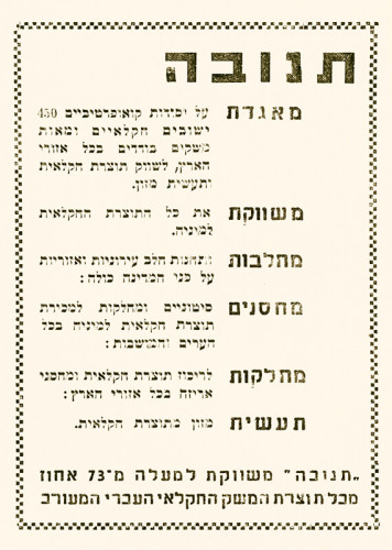 תנובה