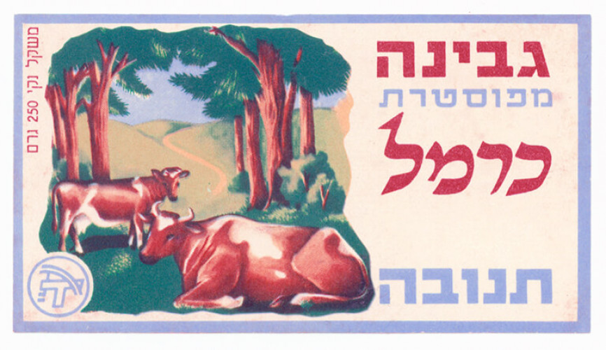 תווית, גבינת כרמל