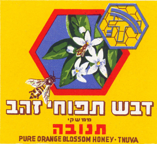 תווית דבש תנובה