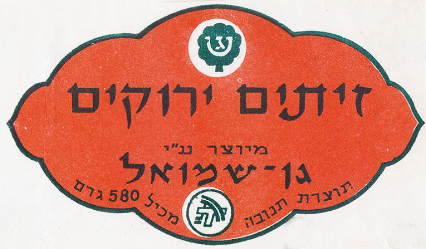 תווית זיתים ירוקים