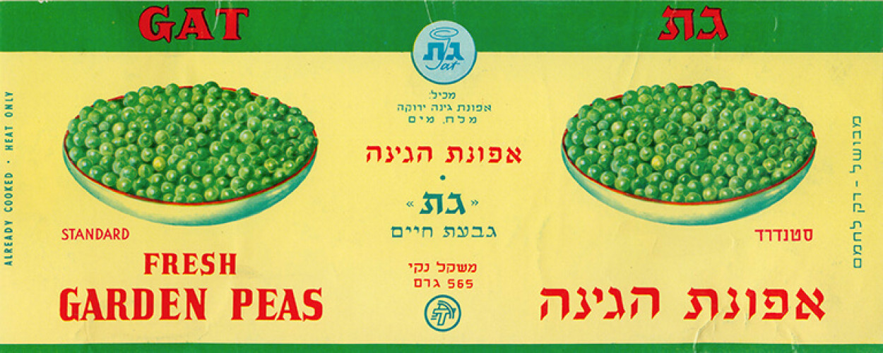 אפונת הגינה