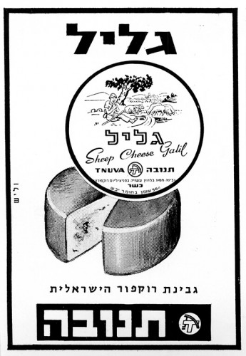 מודעה, גליל תנובה