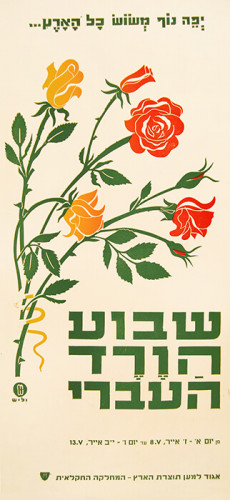 שבוע הורד העברי