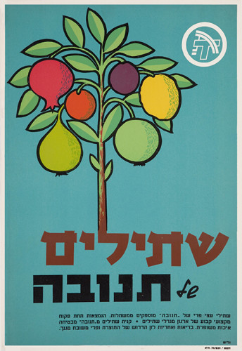 שתילים תנובה