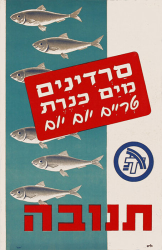 סרדינים מים כנרת