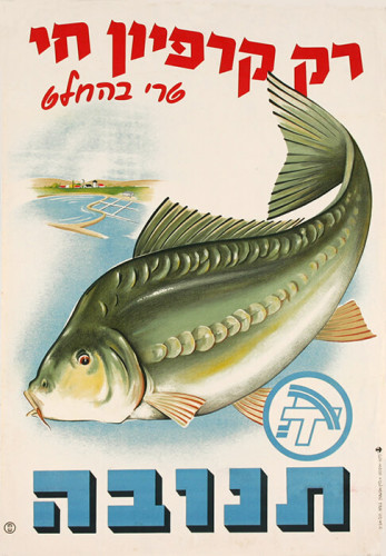 כרזה, רק קרפיון חי
