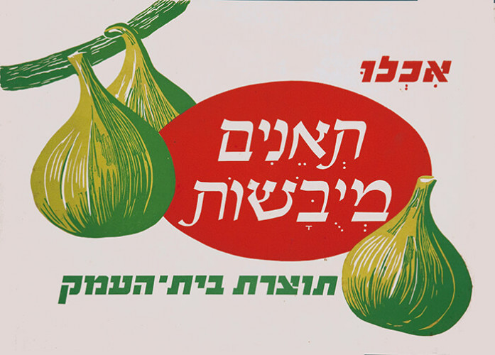 אכלו תאנים מיובשות