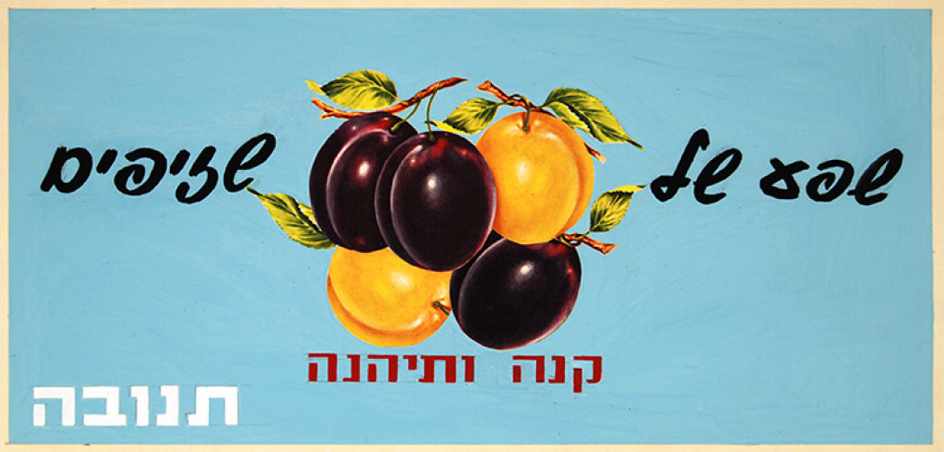 כרזת תנובה שפע של שזיפים