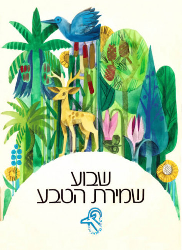 מתווה לכרזה