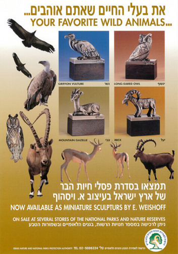 כרזת את בעלי החיים שאתם אוהבים