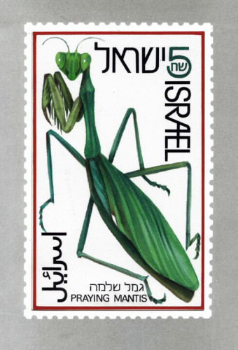 מתווה לבול