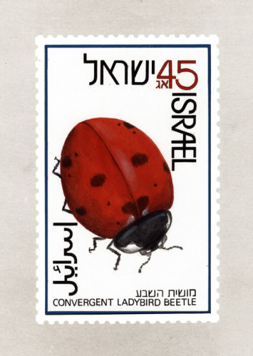מתווה לבול
