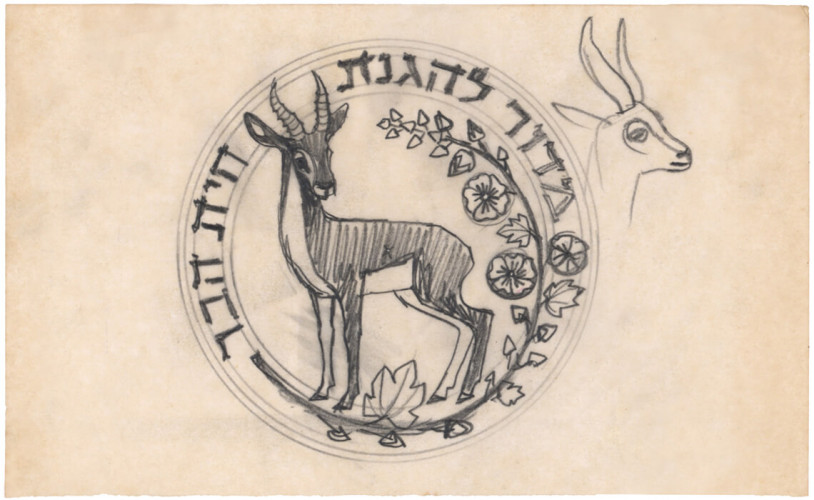 מתווה ללוגו