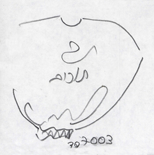 דגם 307003