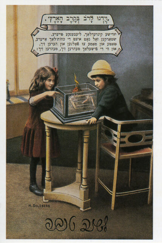 וידגו לרוב בקרב הארץ