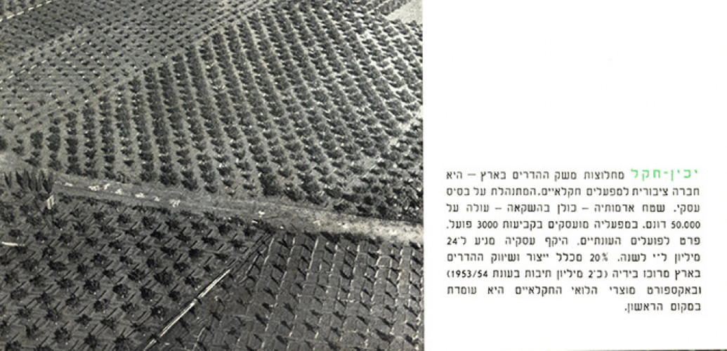 קטלוג מפעלי יכין-חקל