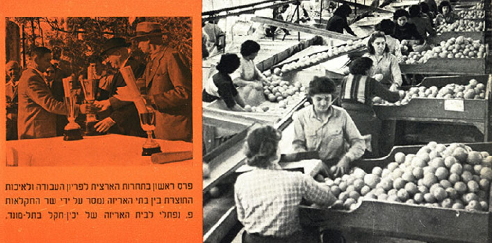 קטלוג מפעלי יכין-חקל