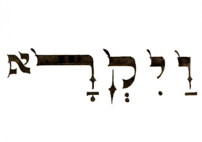 חידון התורה לילדים
