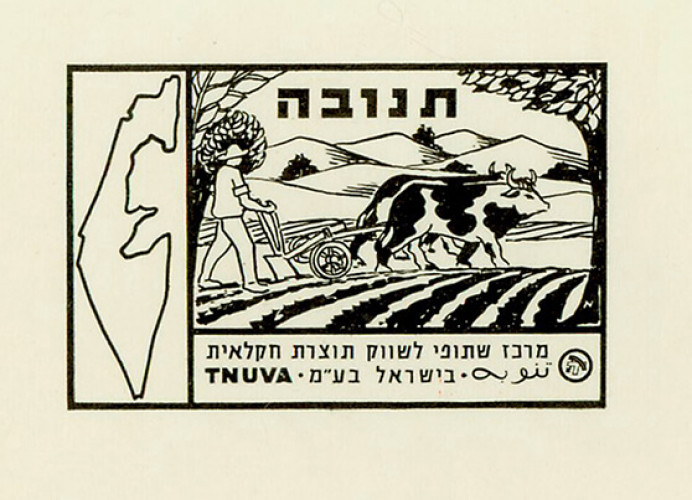 מודעה, תנובה