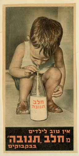 מודעה, חלב תנובה