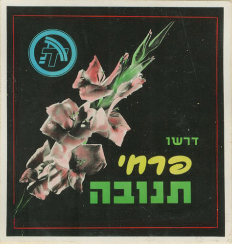 פרסום בקולנוע, תנובה