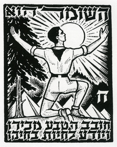 איור, דברות השומר