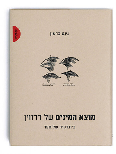 עטיפת ספר, מוצא המינים