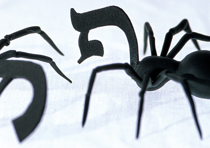 ביו טיפוגרפיה