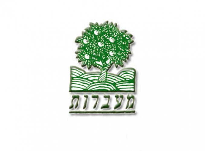 לוגו, מעברות