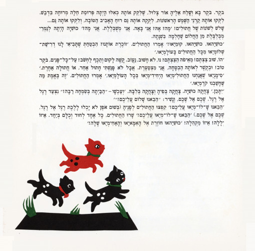כושיה עם שמשיה