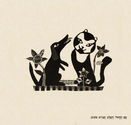 קפיץ וקפיצה