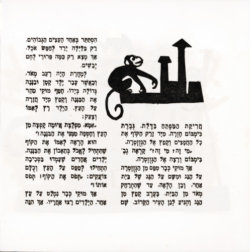 מוקי הקוף
