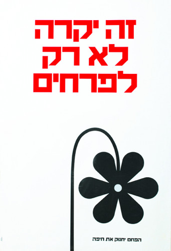 כרזות