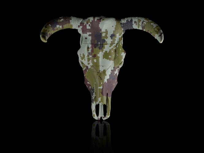 Beast of the Anthropocene