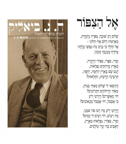 פונט פרמיג׳אנו