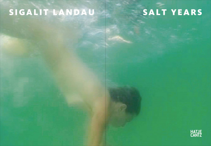 סיגלית לנדאו - Salt Years