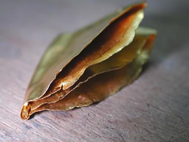 unfold / fold