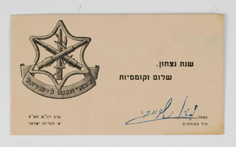 צה״ל שנת ניצחון