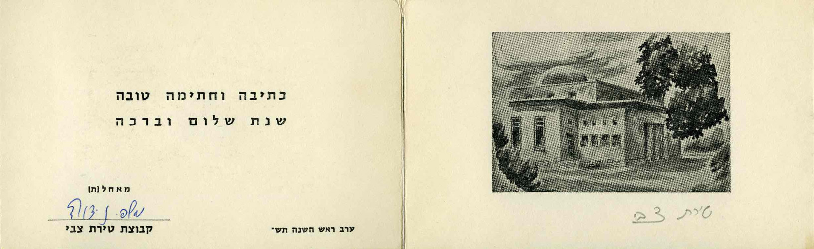 קבוצת טירת צבי