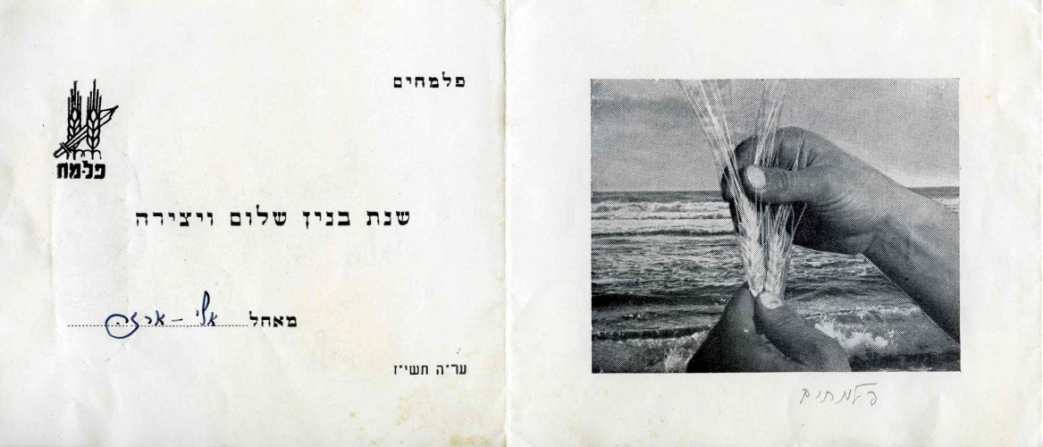 פלמ״ח