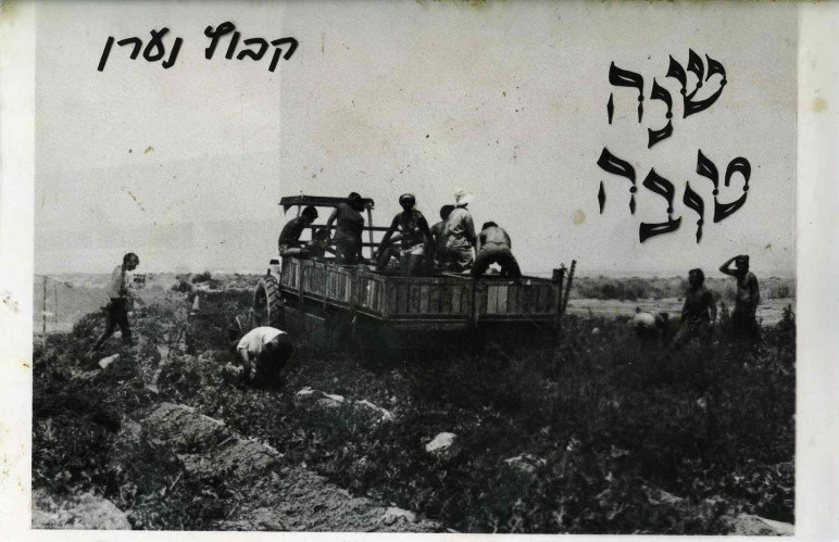 קיבוץ נערן