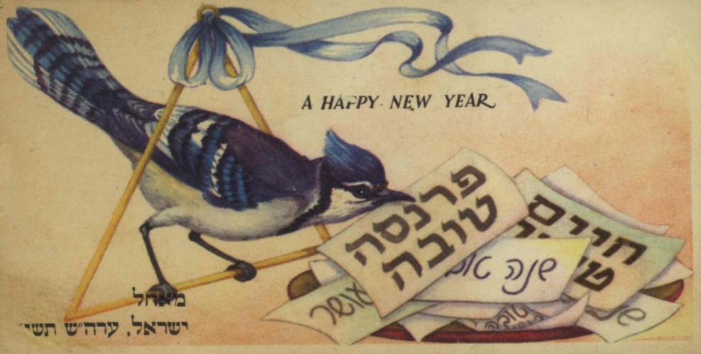 ציפור במשולש