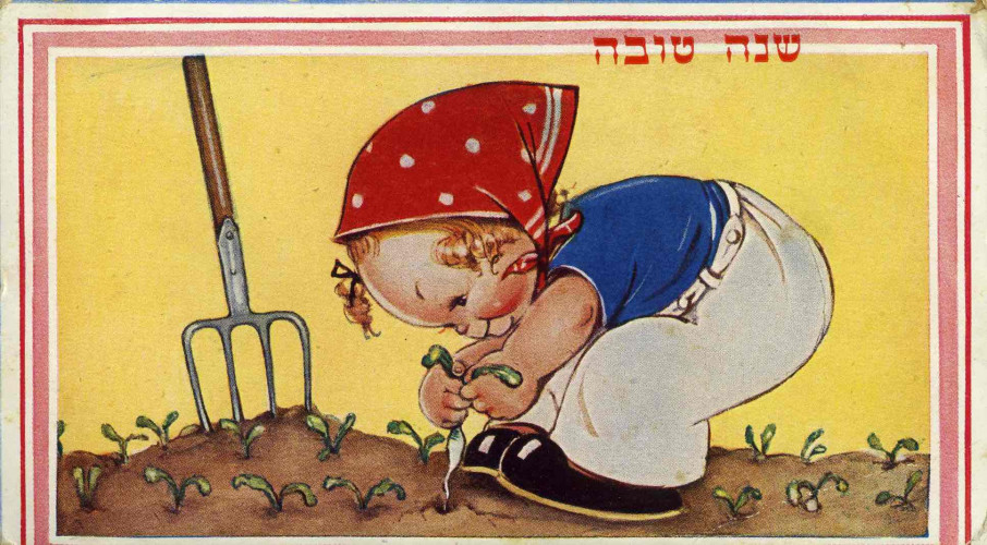 ילדה קוטפת צנונית