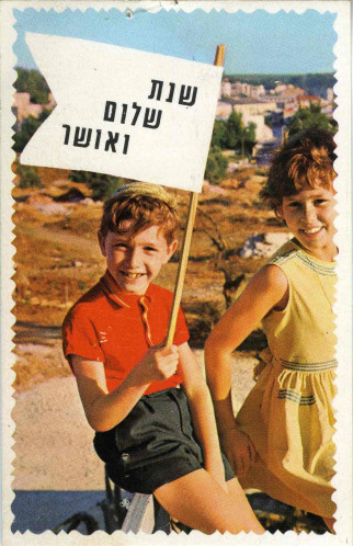 ילד מרים דגל