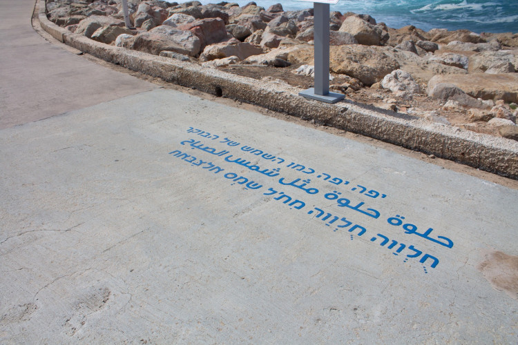 בין השורות