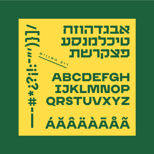 מוזיאון העיר